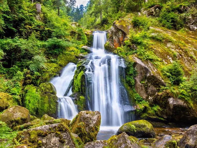 Germany & Bavarian Nature – Munich, Garmisch & Black Forest, 10 Days