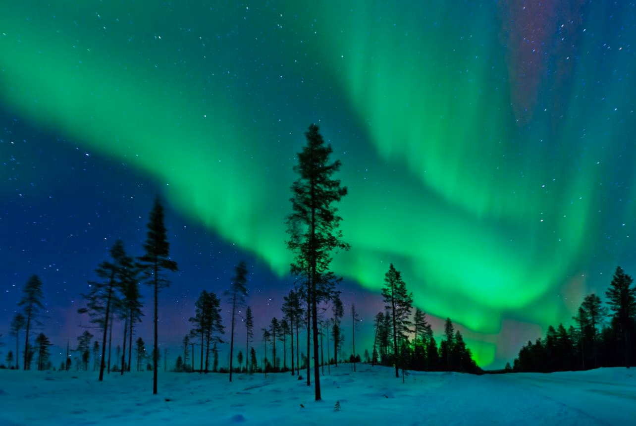 Sweden & Northern Nature – Stockholm & Kiruna – 10 Days